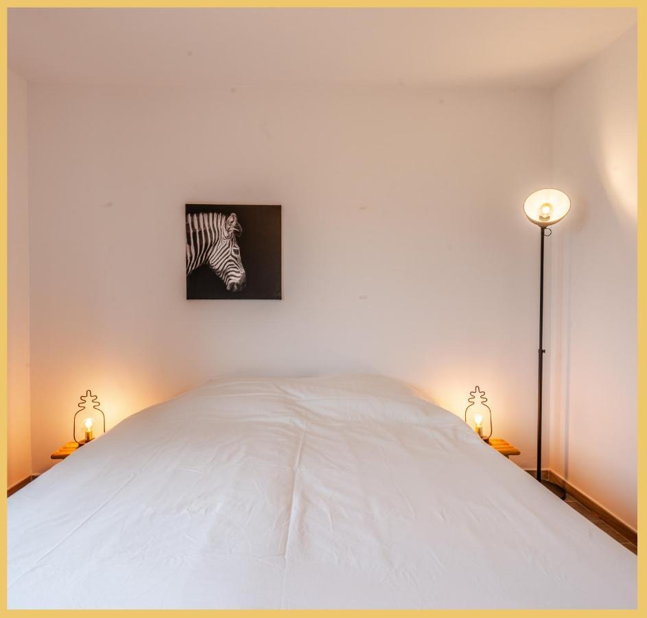 T3 I Cozy I