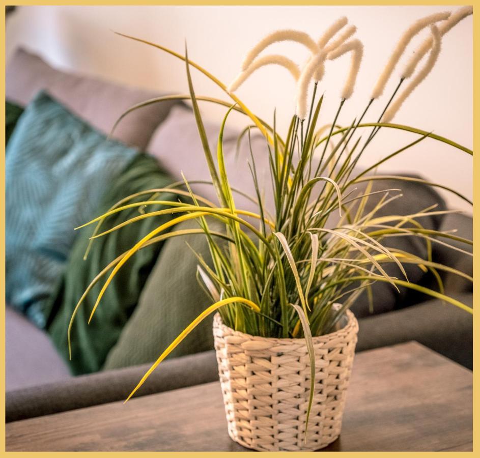 Apartment T3 I Cozy I *