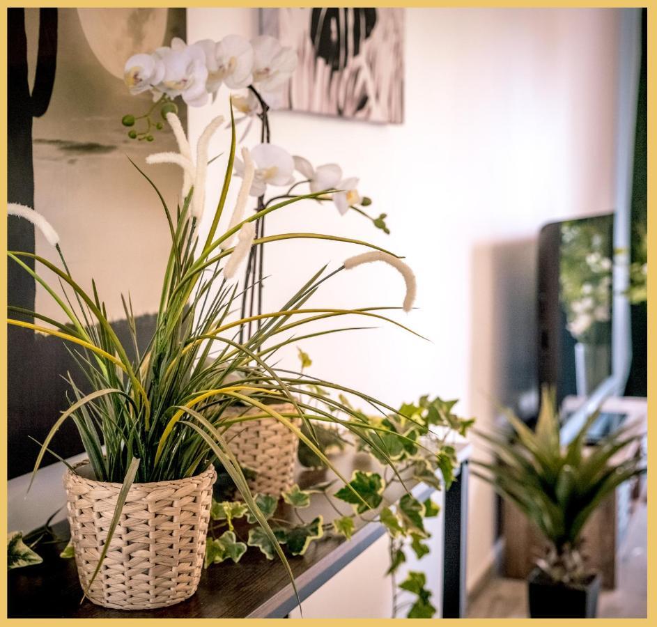 T3 I Cozy I Apartment *